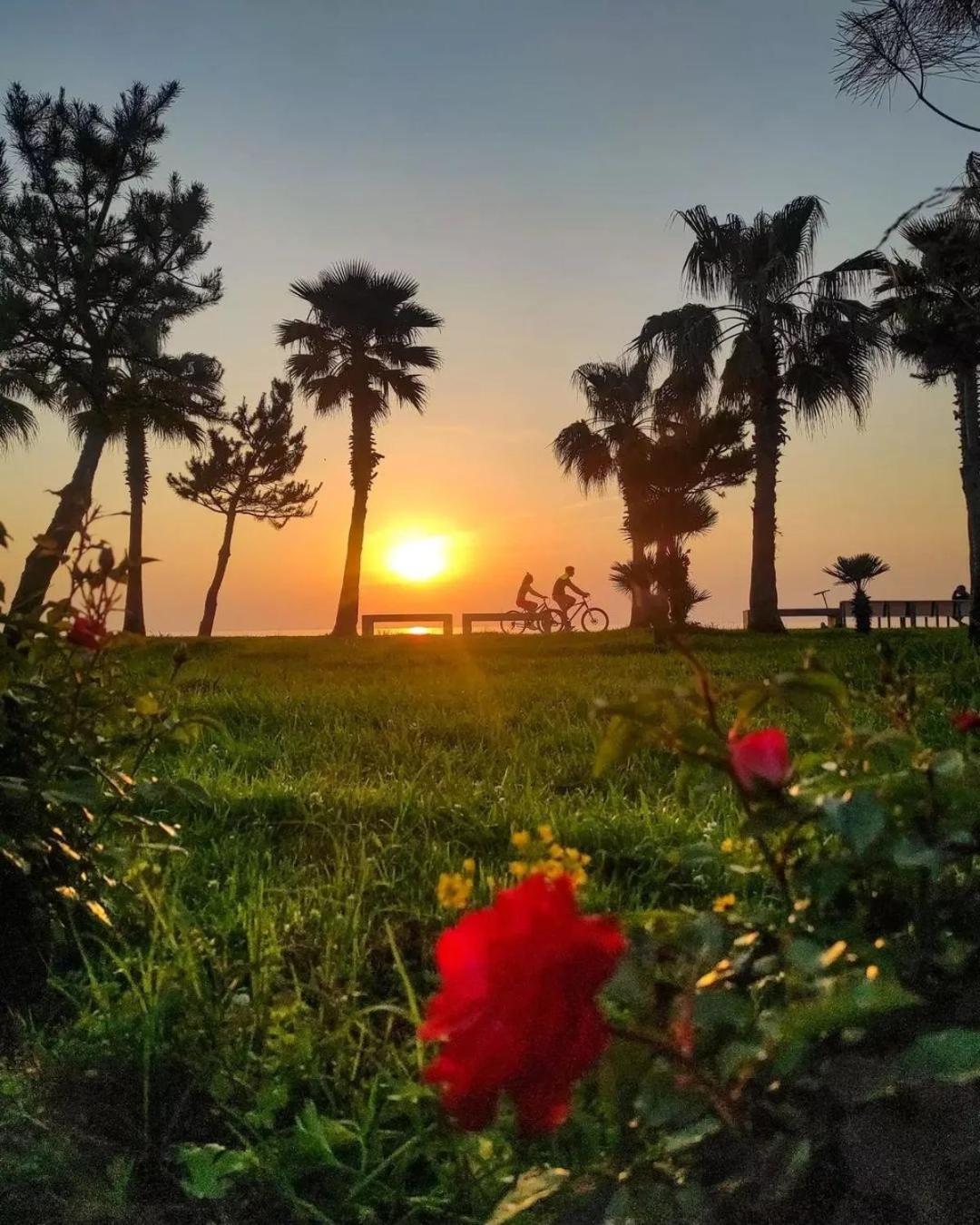 Elegance Sea View Aparthotel In Orbi City Batum Dış mekan fotoğraf